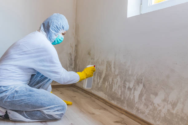 Licensed Bathroom Mold Removal service in Harrison, NJ - WQB Mold Removal