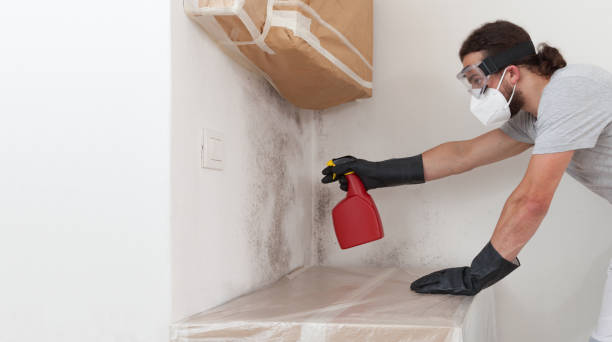Professional Bathroom Mold Removal technician working in Harrison, NJ
