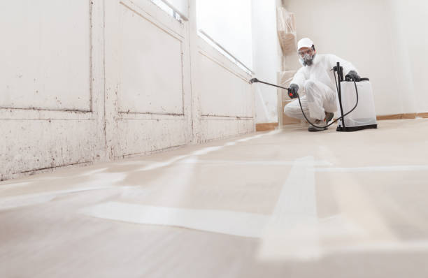 24/7 Emergency Bathroom Mold Removal experts in Harrison, NJ