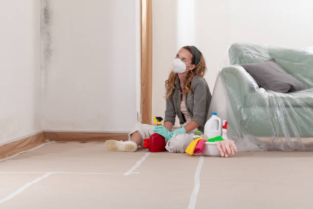 Reliable Bathroom Mold Removal contractor in Harrison, NJ by WQB Mold Removal