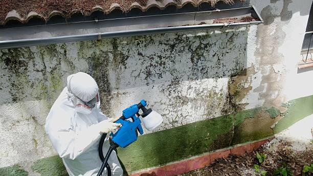 Top rated local Bathroom Mold Removal specialists in Harrison, NJ